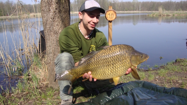 Roman(Momo)7 kg.JPG
