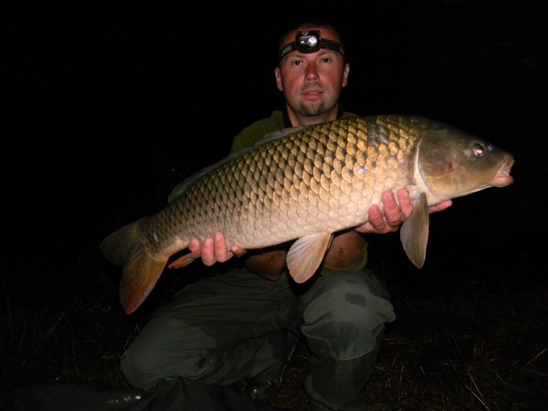 75 cm 6,2 kg.jpg