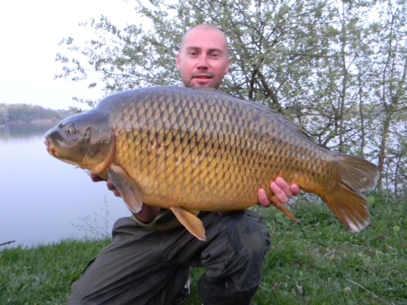 Gusto 12,5 kg.jpg