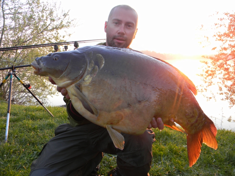 Gusto 14,5 kg.jpg
