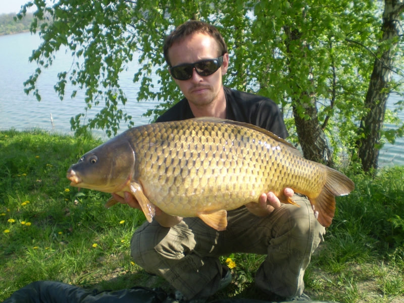 8,00 kg.JPG